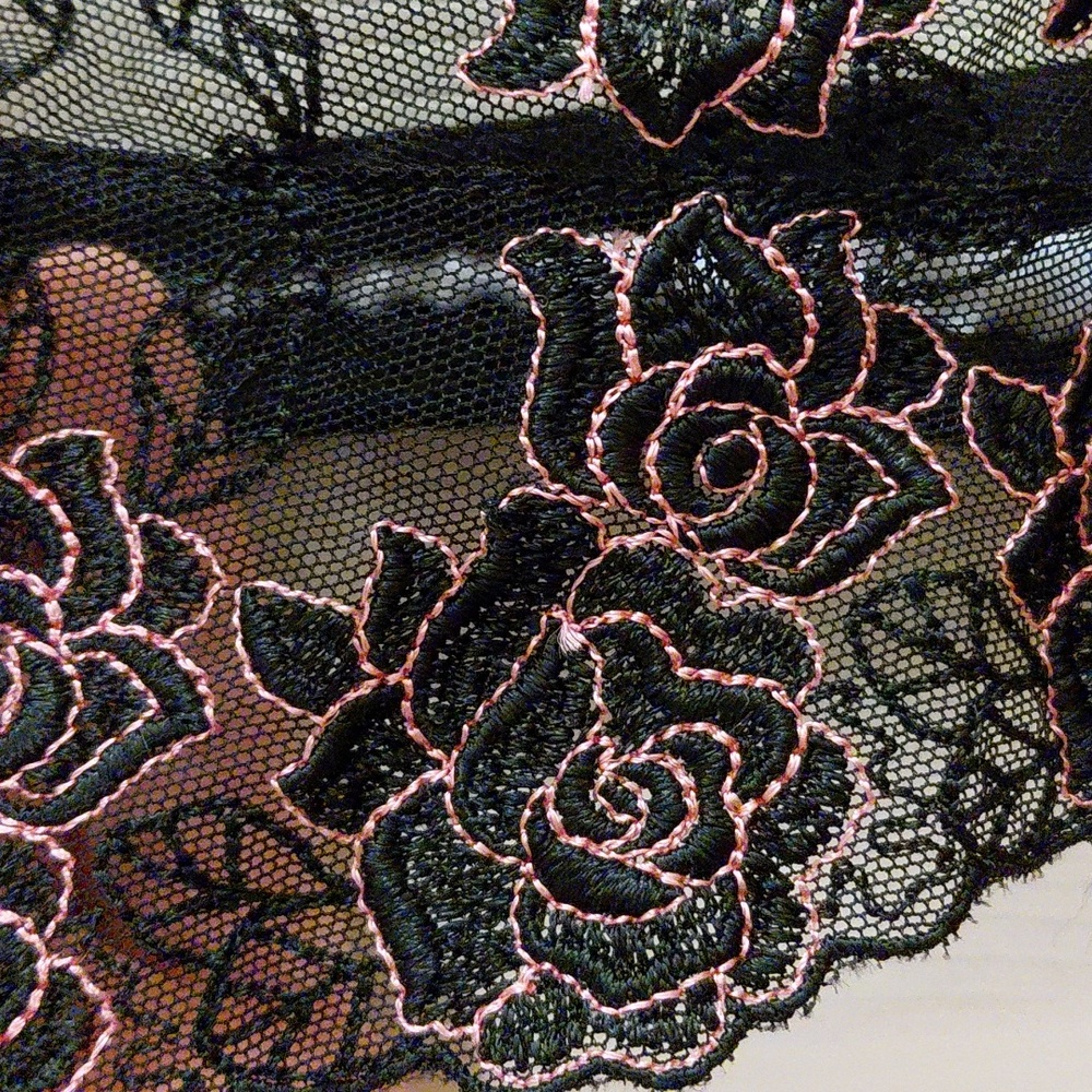 Lunaire Embroidered Thong, Size 7 Large, Black And Pink